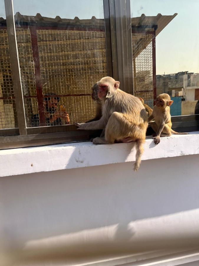 Yogi Soul Hotell Varanasi Eksteriør bilde