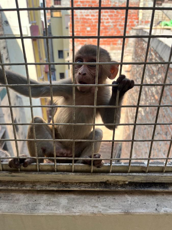 Yogi Soul Hotell Varanasi Eksteriør bilde